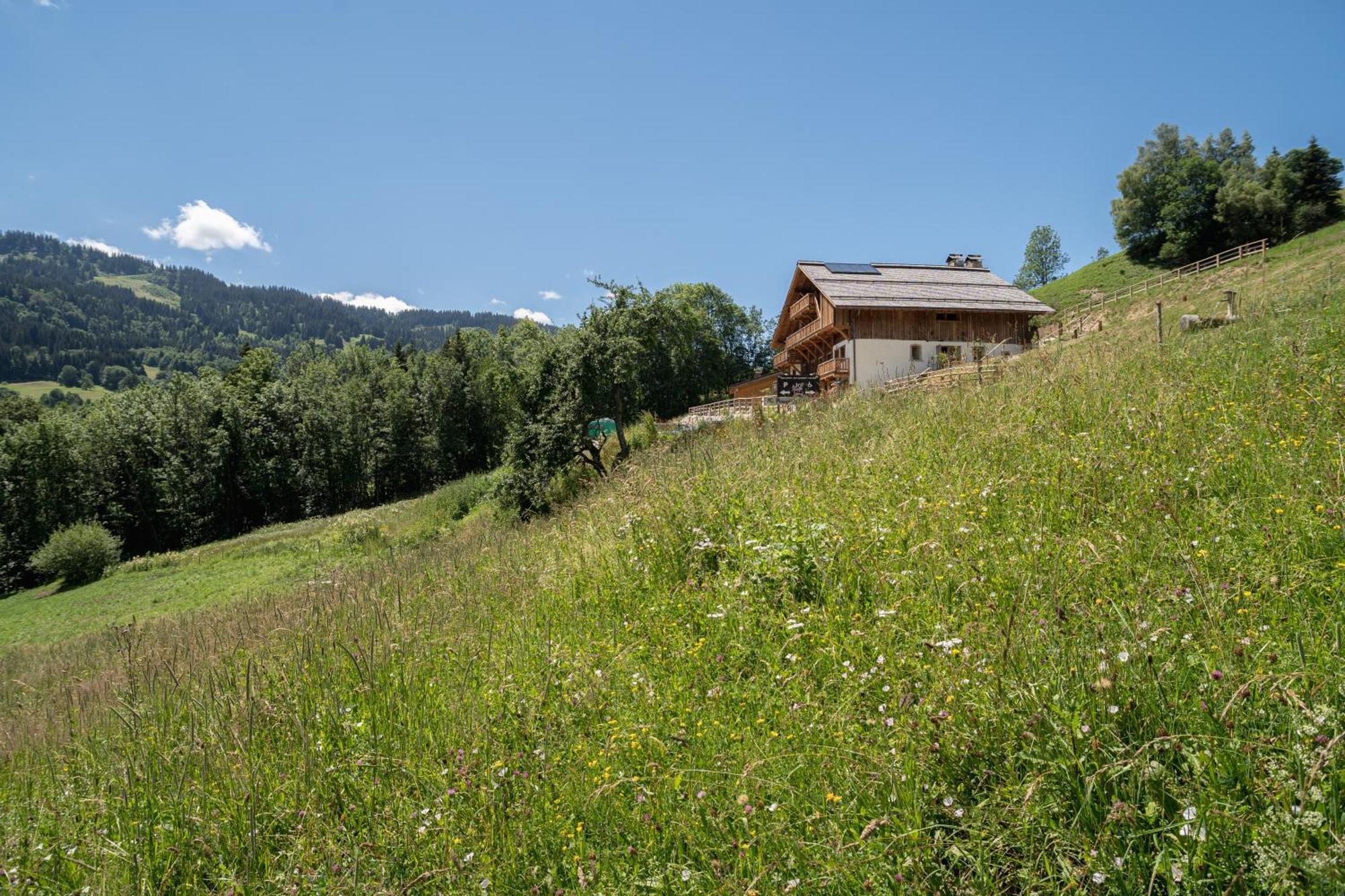 Bed and Breakfast Le Toi Du Monde Flumet Esterno foto